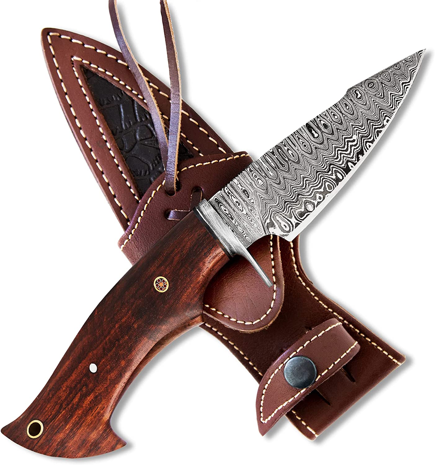  BIGCAT ROAR 10″ PATENTED Handmade Damascus Hunting Knife with  Leather Sheath - Ideal for Skinning, Camping, Outdoor - EDC Fixed Blade  Bushcraft Knife with Walnut Wood Handle - Predator Hunter : Everything Else