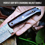 Bravo Damascus Hunting Knife