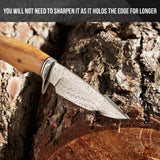 Predator Hunter Damascus Knife Olive Handle