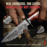 Predator Hunter Damascus Knife, Walnut handle, photo 4