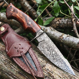 Predator Hunter Damascus Knife, Walnut handle with its leather sheath