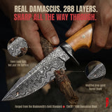 Predator Hunter Damascus Knife, Olive handle, photo 4